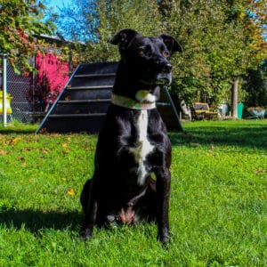 Gina