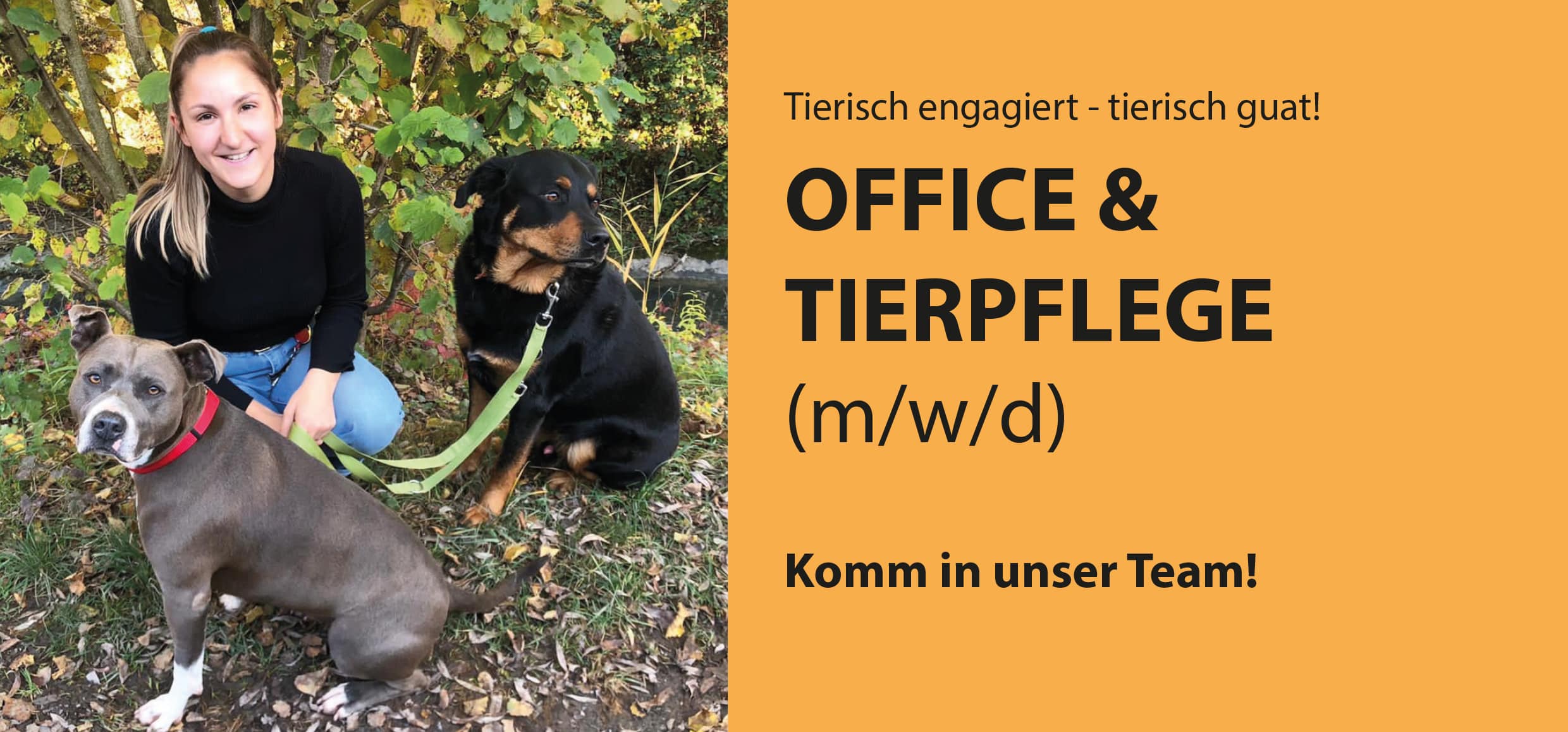 Julia_Aufmacher_HP