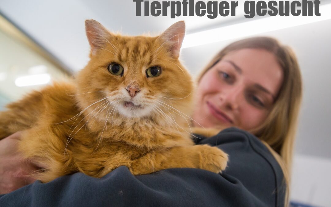 Komm in unser Team!